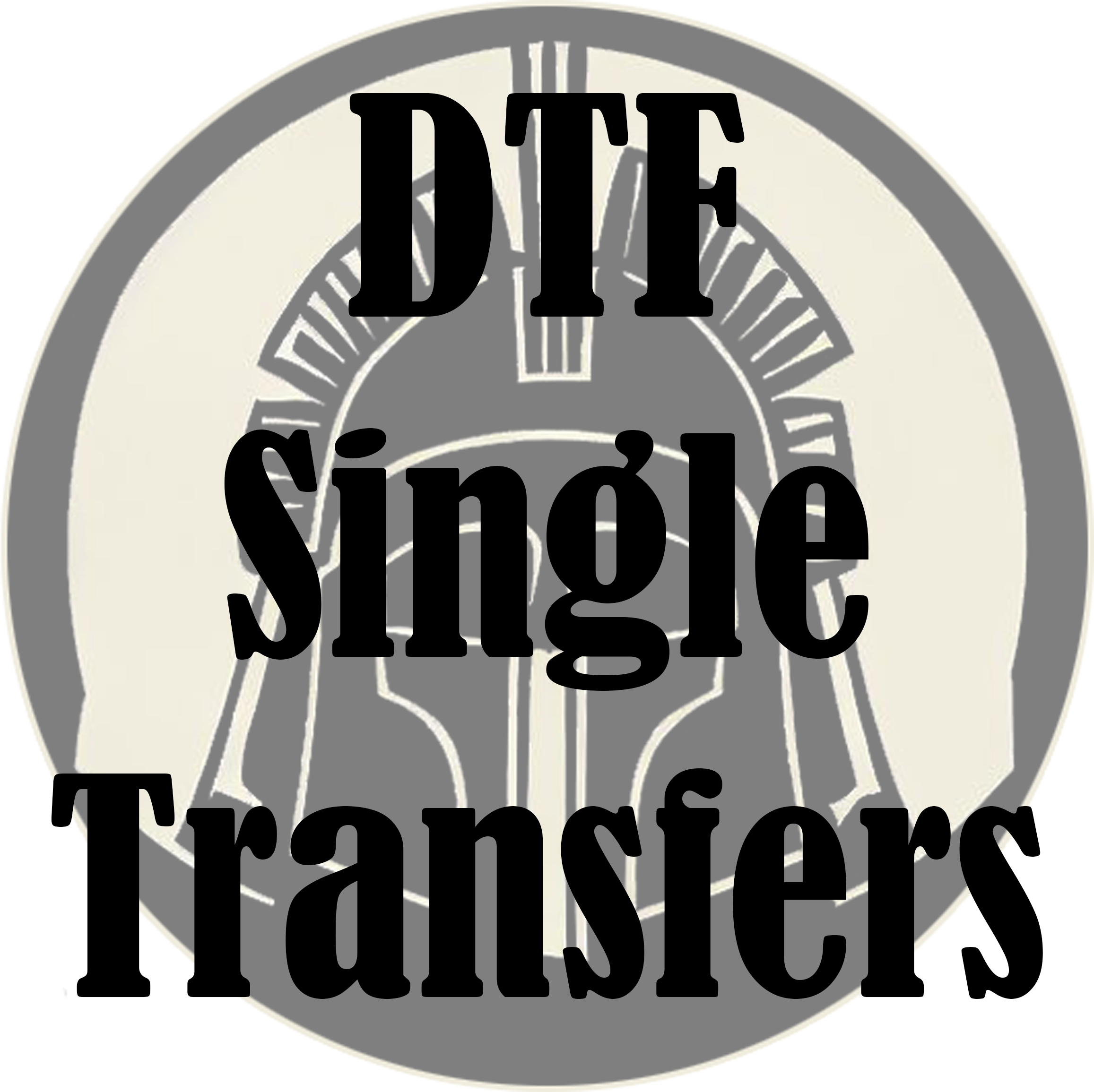 Single DTF Transfers